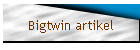 Bigtwin artikel
